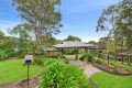 11-Carr-St-54-Views-garden-looking-north-scaled