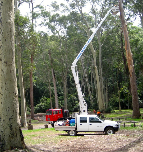 Batemans Bay Tree loppers