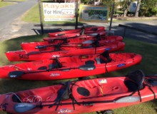 New Hobie kayaks for hire on Durras Lake