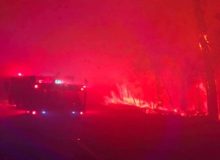 Bushfire update #1 – our park was saved by the firefighters